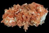 Natural, Red Quartz Crystal Cluster - Morocco #84378-1